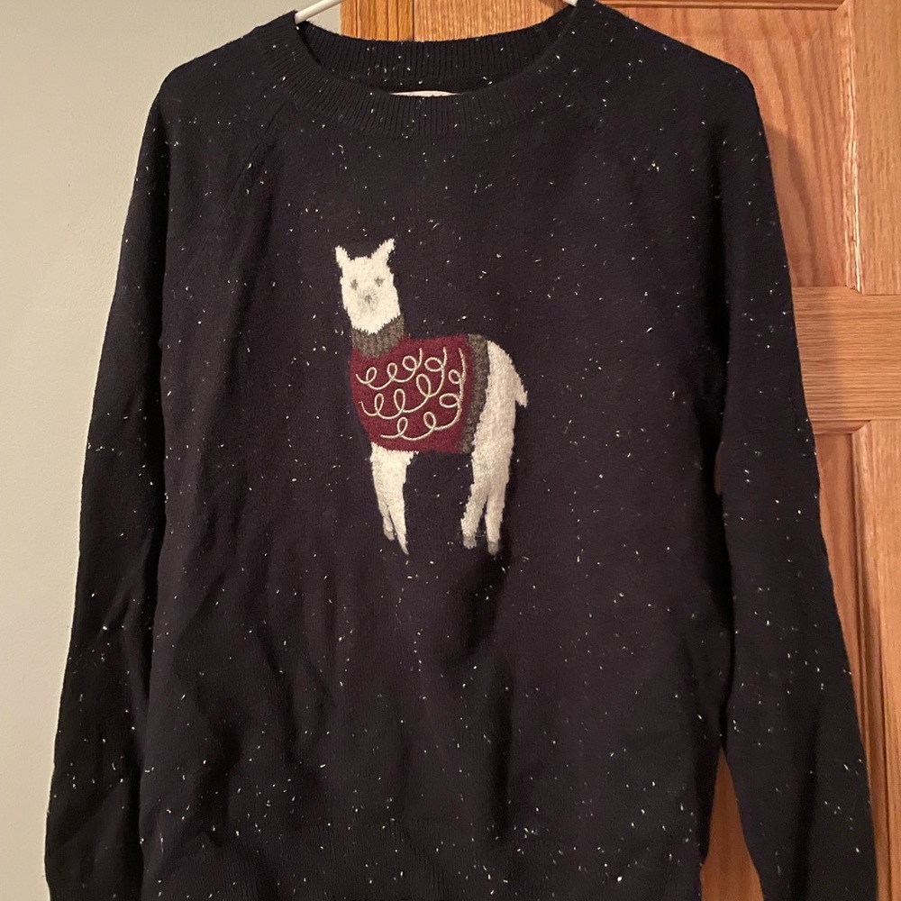 Loft Llama sweater NWT